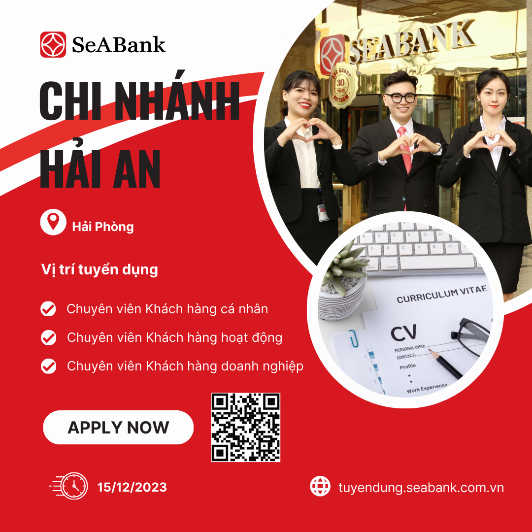 lĩnh vực hoạt động
